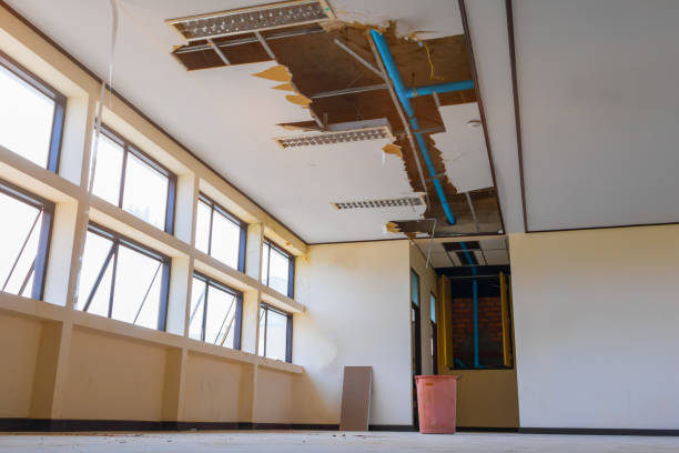 Best Flooded house restoration  in Califon, NJ
