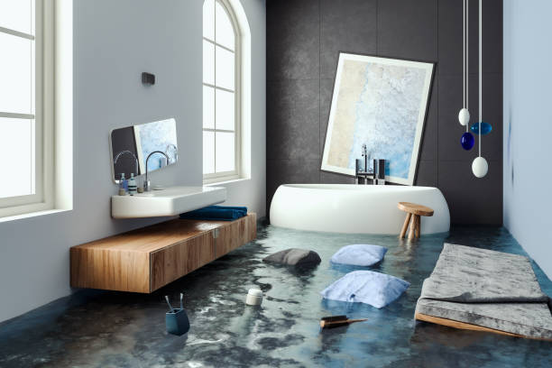 Best Mold removal after water damage  in Califon, NJ