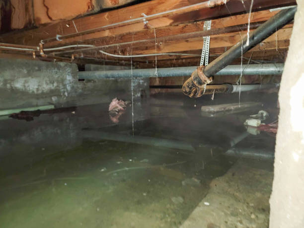 Best Emergency water damage restoration  in Califon, NJ