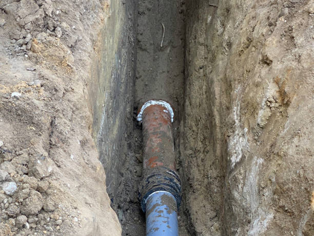 Best Professional water damage repair  in Califon, NJ
