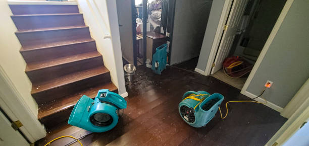 Best Residential water damage restoration  in Califon, NJ