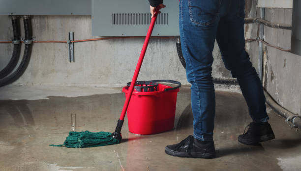 Best Flooded house restoration  in Califon, NJ