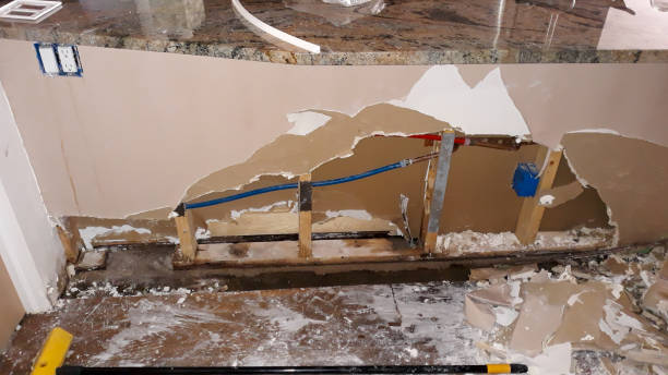 Best Mold removal after water damage  in Califon, NJ