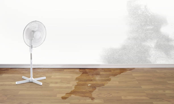 Best 24-hour water damage restoration  in Califon, NJ