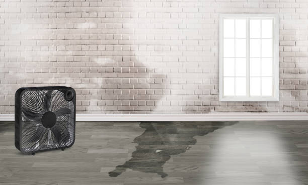 Water damage restoration mold remediation in NJ