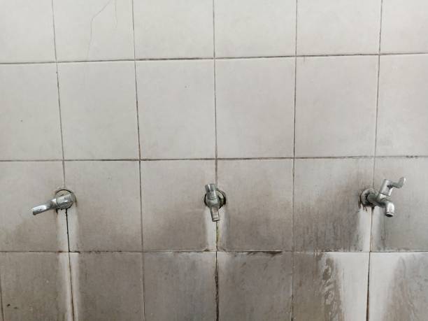Best Water damage restoration near me  in Califon, NJ