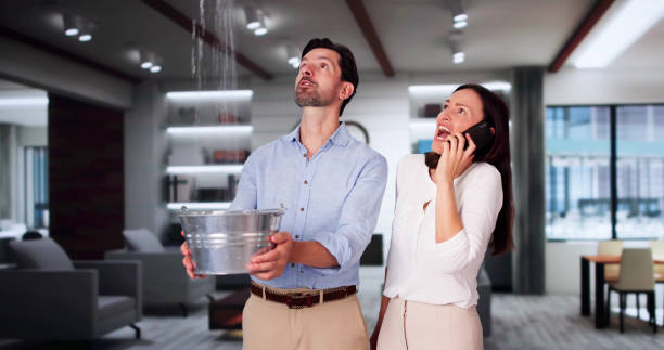 Best Commercial water damage restoration  in Califon, NJ