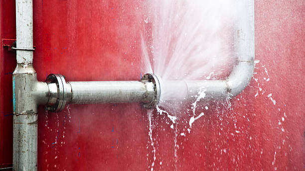 Best Water damage restoration near me  in Califon, NJ